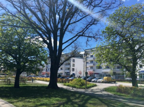 Apartamenty Platan - visitopl Świnoujście